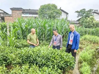 错当“生意人”的“80后”干部