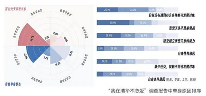 是爱的解答，更是自我追求的探讨