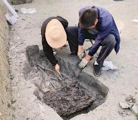 触摸泥中6000年前的鹿角1