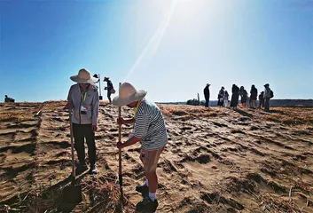  自做讲解 热爱生光1