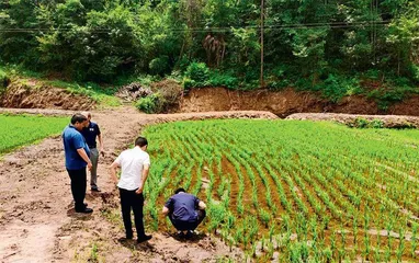  汪宗平：我非老总，是种地的（下）