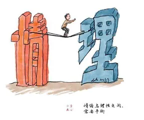 “理性”的代价