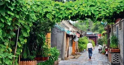 胡同里“绣花”1