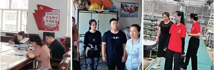 为什么农田里少见人影1