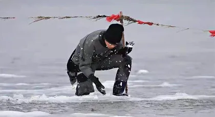 海底种草15年