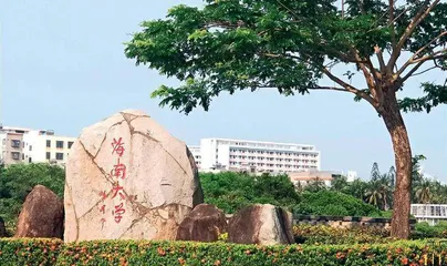 “三明治”大二