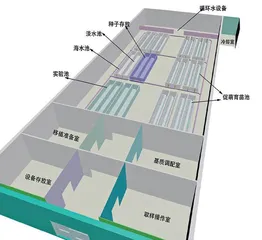 5小时，225盆生苗培育1