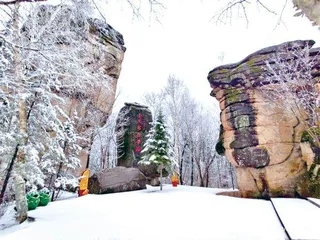 瑞雪兆丰年，谁不说咱家乡好！5