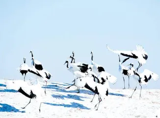 瑞雪兆丰年，谁不说咱家乡好！7