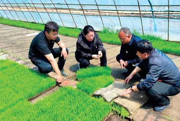 暴勇：盛放在北大荒黑土地上的“向阳花”