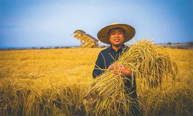 程连坤：  走在乡村振兴大潮中的时代新农人0