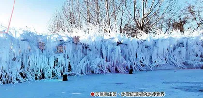 相聚“童话龙江”，来一场冰雪季全民狂欢！20