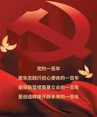 学习百年党史，争做时代新人0