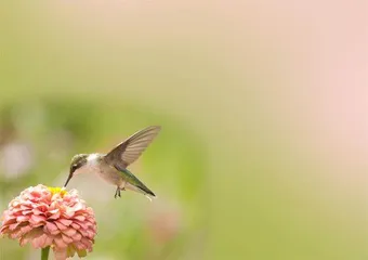 悬浮社会0