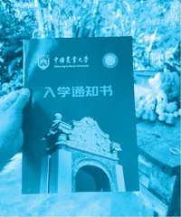 都市女白领寻梦天涯，打造出梦幻童话般的家园2