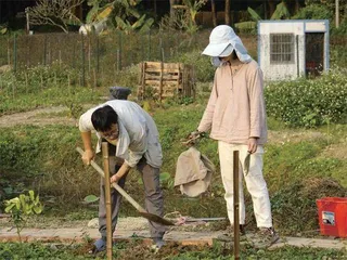 到田野探索生活2