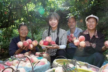 村播里的烟火气