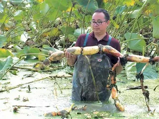 潘裴的小龙虾新销售3