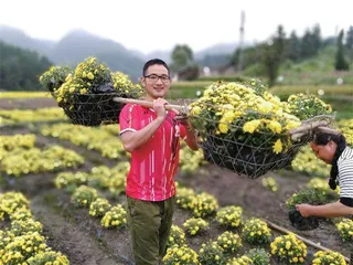 “菊花书记”施雪钢