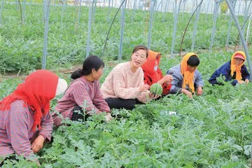 脚沾泥土，播洒温暖1