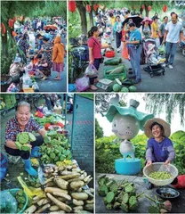 南京市栖霞区妇联：“美丽庭院”为乡村振兴增色添彩0