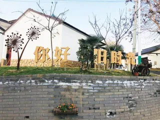 南京市江宁区元山社区：创建美丽庭院，点“靓”美丽画卷1