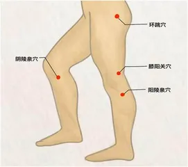 腰腿疼痛难行走多做强腰健膝操1