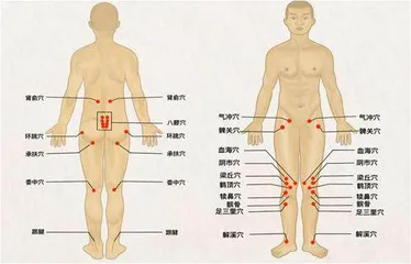 腰腿疼痛难行走多做强腰健膝操2