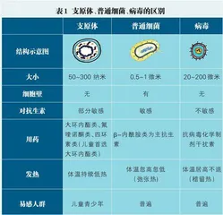 肺炎支原体知多少