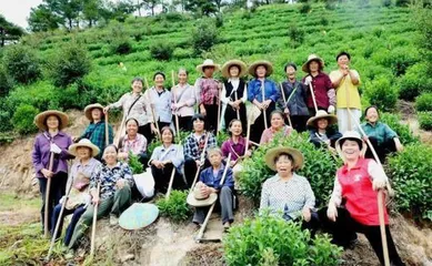 52岁的她，带领山村妇女致富奔小康