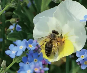 前沿