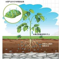 会“出汗”的超声速飞行器0