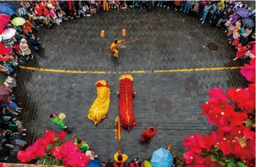 “虎味”上元节 海口很“有戏”1