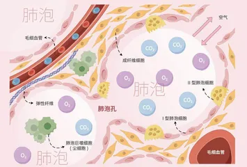 身体里的“小气球”1