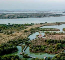 在黄河入海口 邂逅多彩湿地2