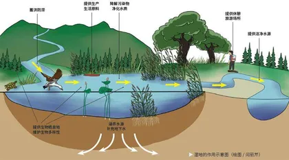 在黄河入海口 邂逅多彩湿地4