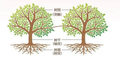    开启类脑风暴破译思维密码0