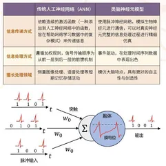    开启类脑风暴破译思维密码2