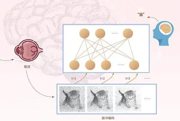    开启类脑风暴破译思维密码4