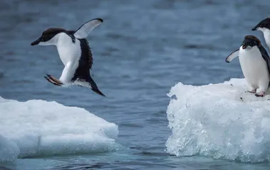 前沿