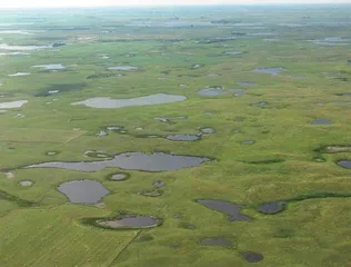 小湿地 大潜能  雷茵茹 什么是小微湿地？5