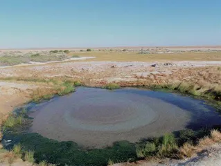 小湿地 大潜能  雷茵茹 什么是小微湿地？6