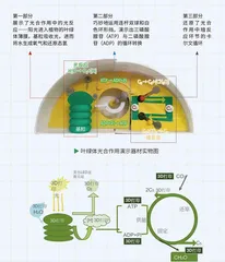 探索之旅 逐梦前行0