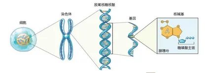 国宝中的“国宝”2