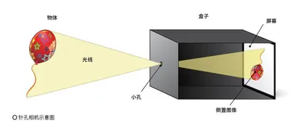 眼睛进化之路与千姿百态的世界2