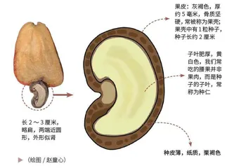 不熟的“亲戚”6