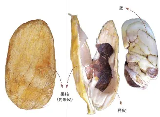 不熟的“亲戚”8