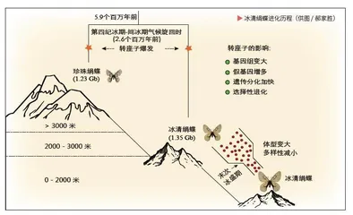 乘上基因“列车”6