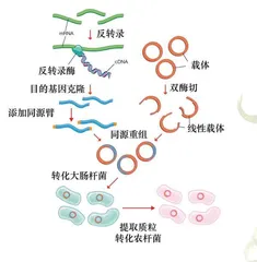 园艺学家的科研日常0