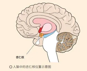 那些让人受不了的声音1